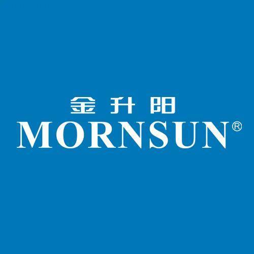 MORNSUN金升阳